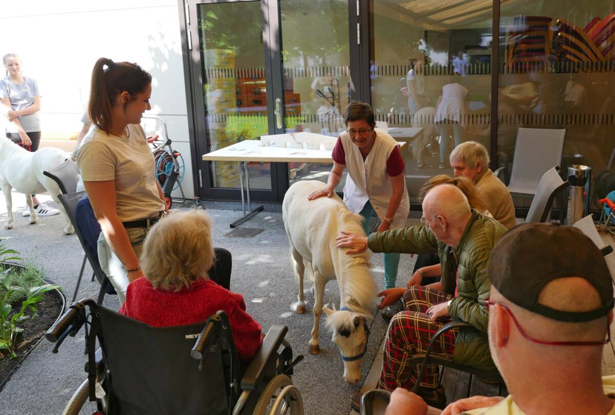 Tiertherapie Zillertal